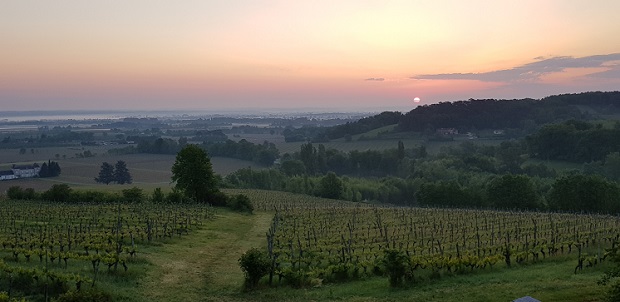 Chateau Feely view